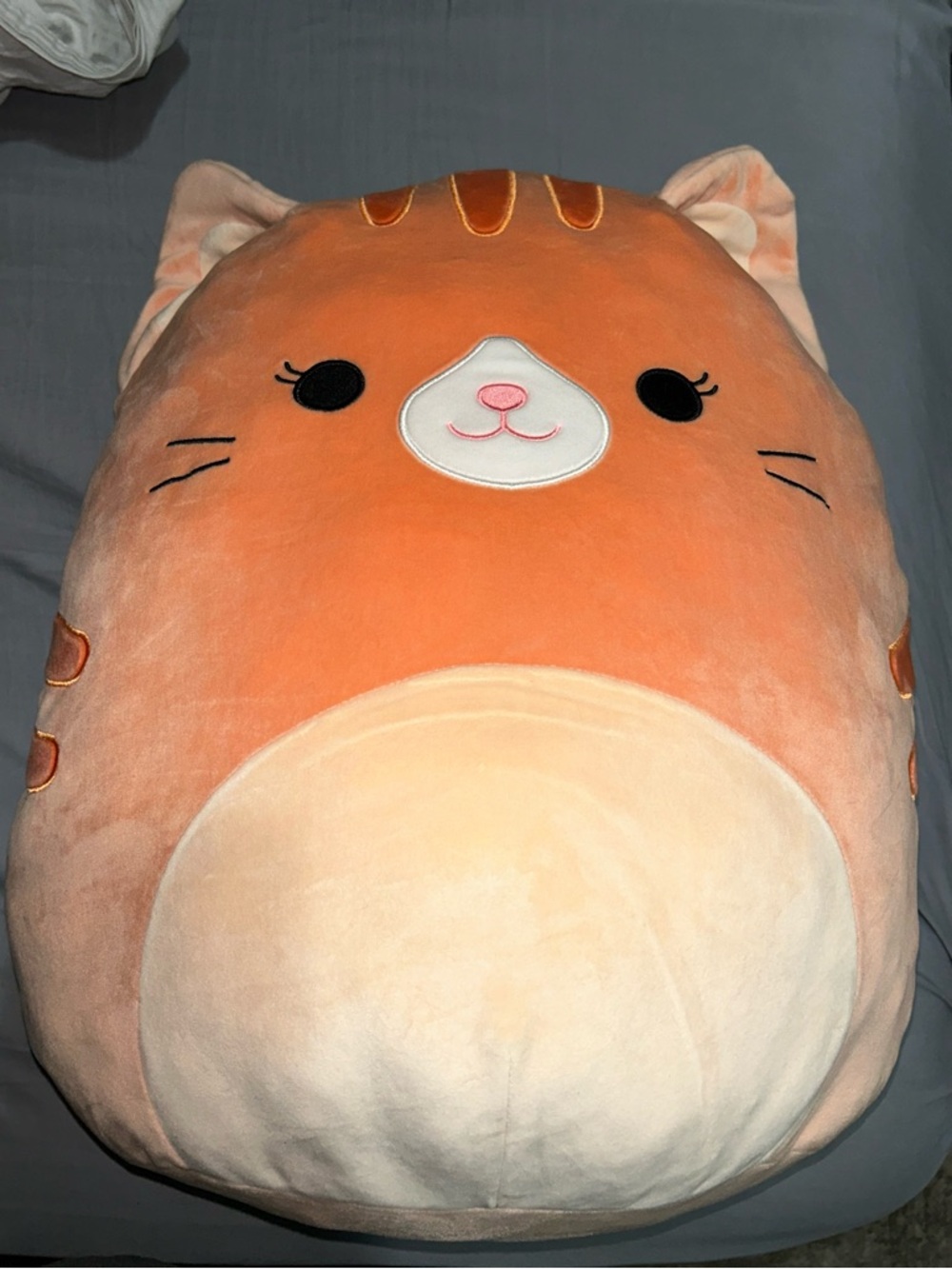 Large 20" Tabby the Cat Squishmallow Brand Soft Stuffed Animal Rare Collectible